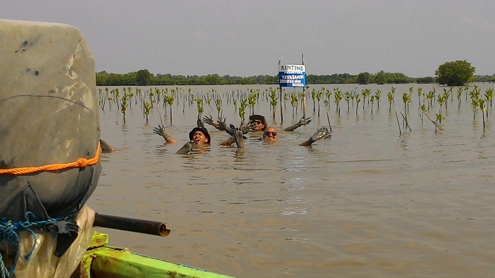 Mangrove Marine conservation