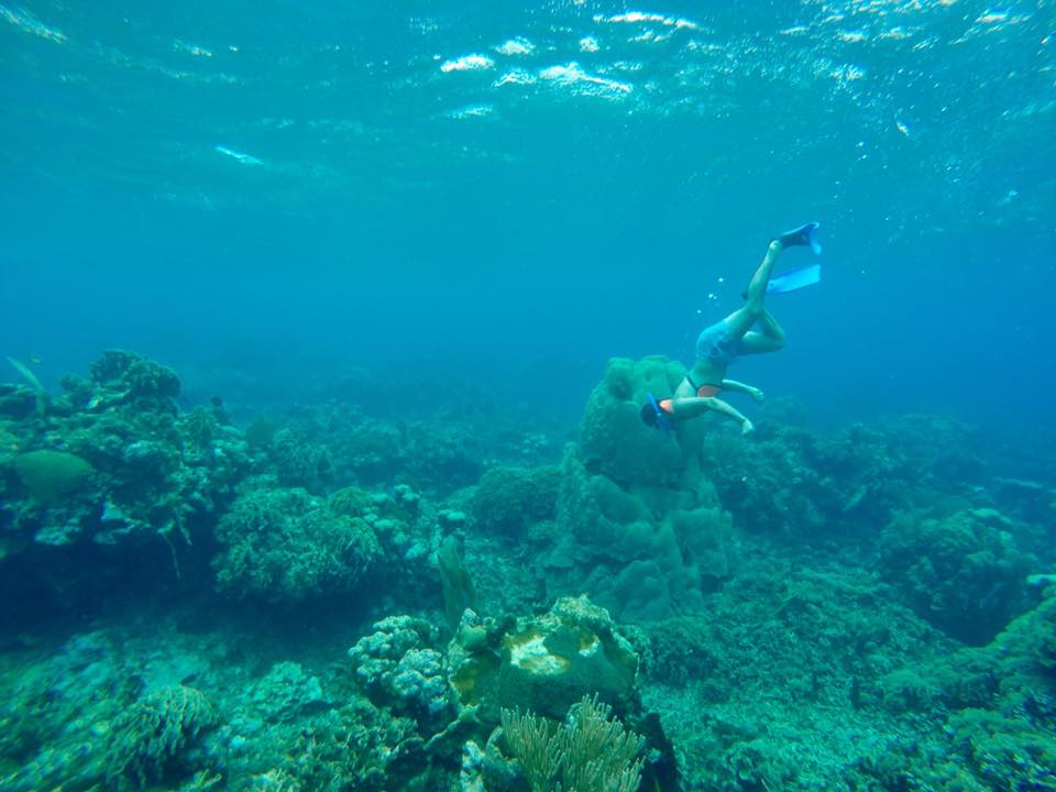 honduras-best-scuba-diving-central-america